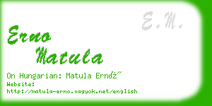 erno matula business card